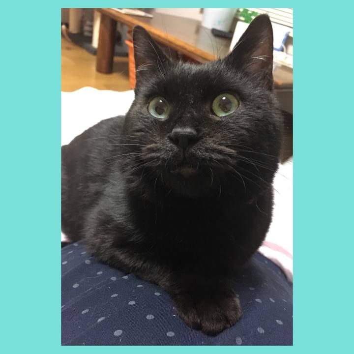 352875a9 99c3 47f0 ac6e cdcfb25232cc 1581430574163