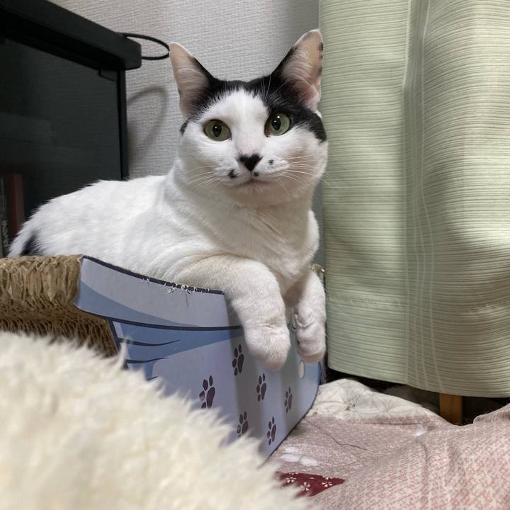 35289273 40e9 42e6 81d6 bbd21bcbb93a 1769346561252