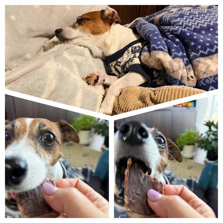 3528960f a429 4a3b 8b7f 20fa2fb25521 1767719344512