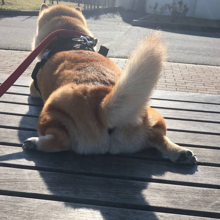 3528a438 970f 445c a911 4fa6775cdae3 1606798225062