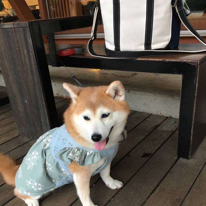 3528b7d0 e2e5 4d9f 95c2 60d943e1ad32 1528889148479