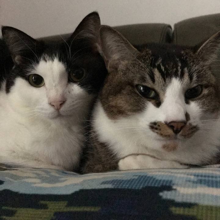 3528dce9 991b 45ca 91d6 c11cb39844eb 1576649743505