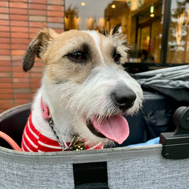 3528fb1b cfde 4b44 bff6 6edf60ce394a 1625059150693