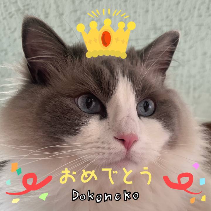 3529258d b695 46af 8889 26cf49d177f9 1686002722703