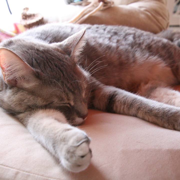 3529635d 476b 464f b7ee 6b160d37b962 1516418030473