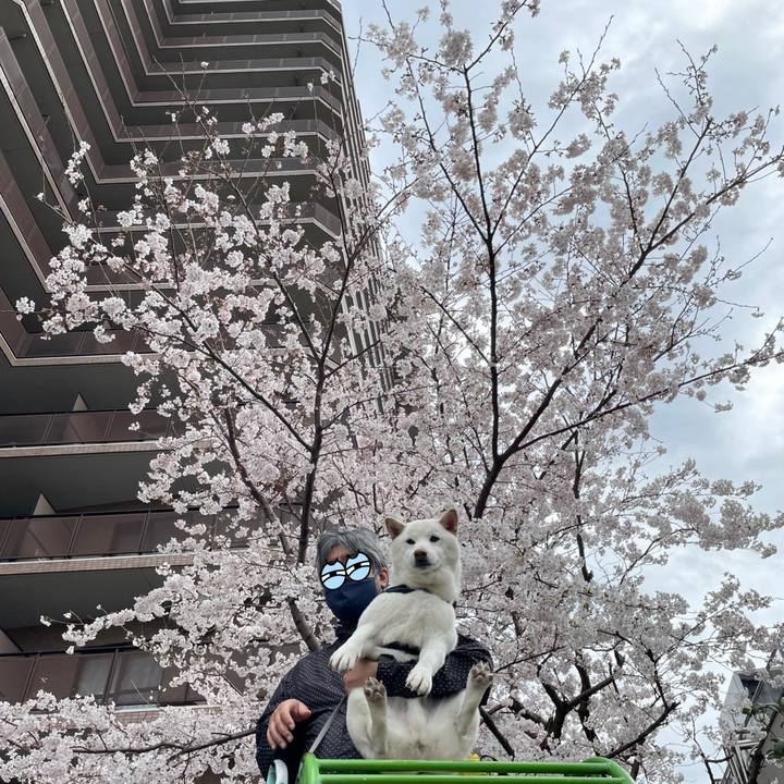 35297ae0 319c 4d81 b00d bdb1d59319f4 1648355300483