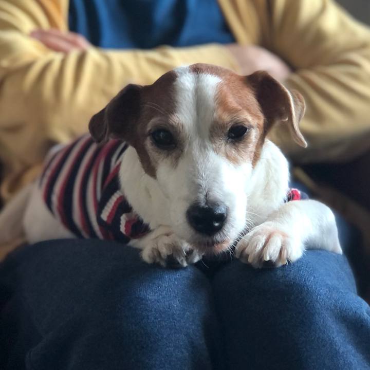 3529853f f451 443b a4be e9e140e58fdd 1761109301927