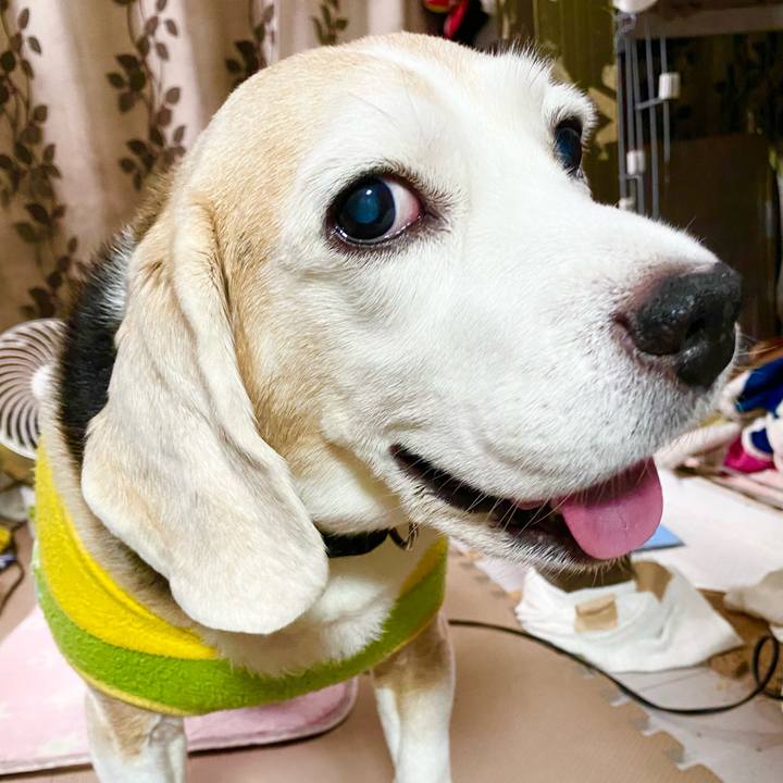 35298610 e22e 4a74 b193 2ee2c4899cb7 1665114773276