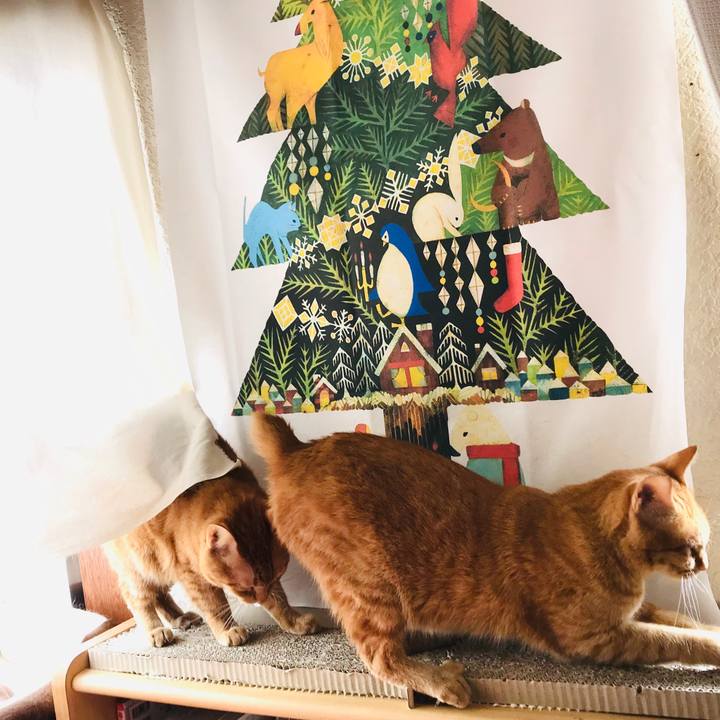 3529b1e3 9155 455d 87bb 789b25d6c915 1588889871716