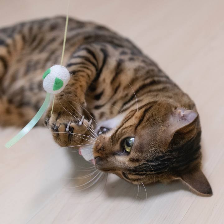 3529d4b0 988f 4e15 8230 c27f4c8af83f 1537447992637