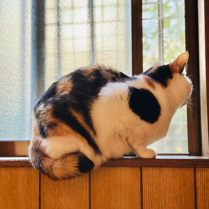 3529df8b 4b84 46cd b6c9 8addf46b3c82 1669344775141