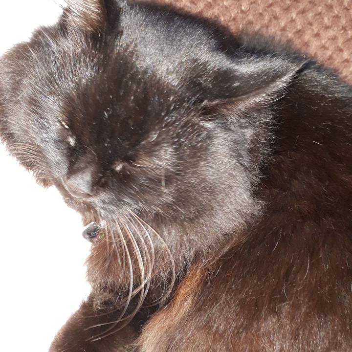 3529f53c 31d0 424d a63a 139bb32df993 1518297224095