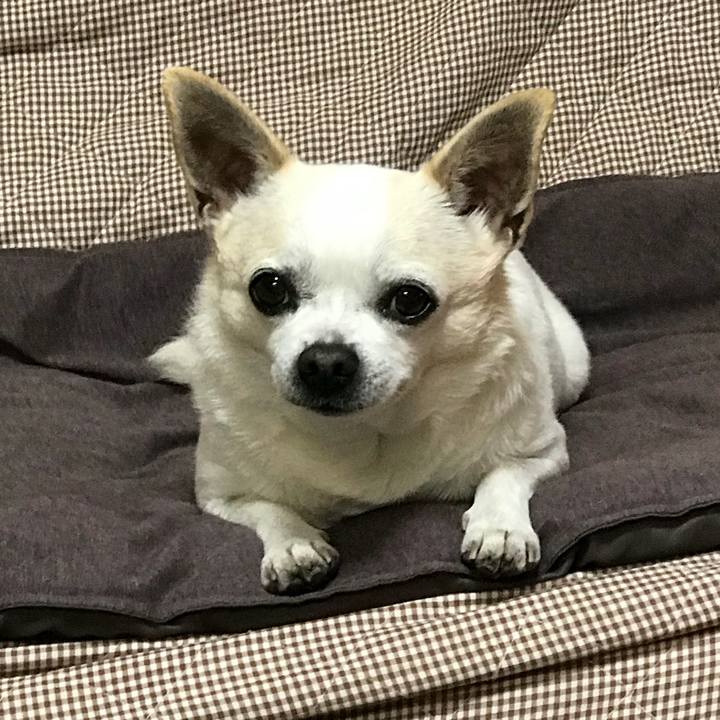 352a5020 802d 4f9a a773 037ee4e34e6b 1514815706643