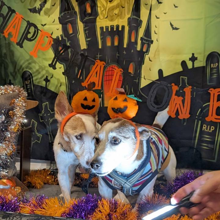 352a6ff6 b90f 43bd a1c5 3f8ce57ebe49 1761429414438