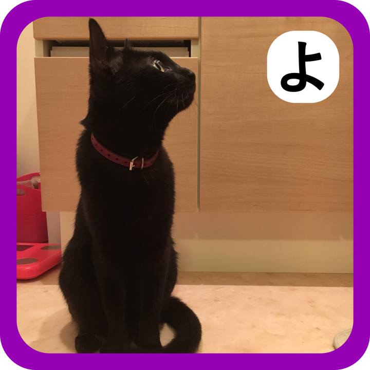 352aac5a ed4e 473f b329 3ffb88bf5aa6 1515064505350