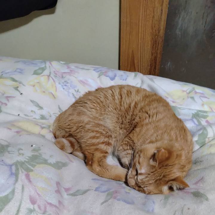 352ad18d e2a9 4060 bdbb cf6d03e2511d 1673267825446