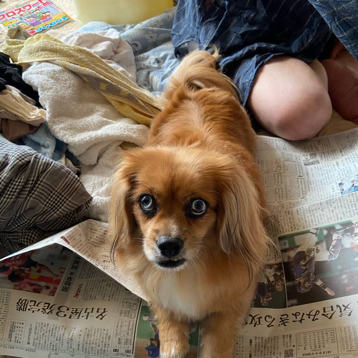 352ad370 e04c 448b 9148 5175797acbc4 1601161625135