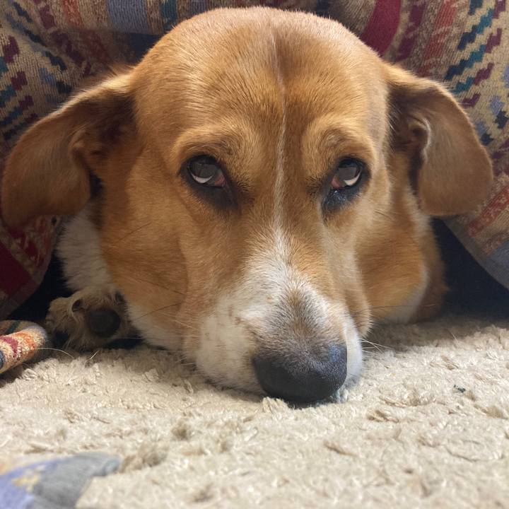 352b090d 50fe 46a0 85e0 c0531bfd9fe3 1759575376430