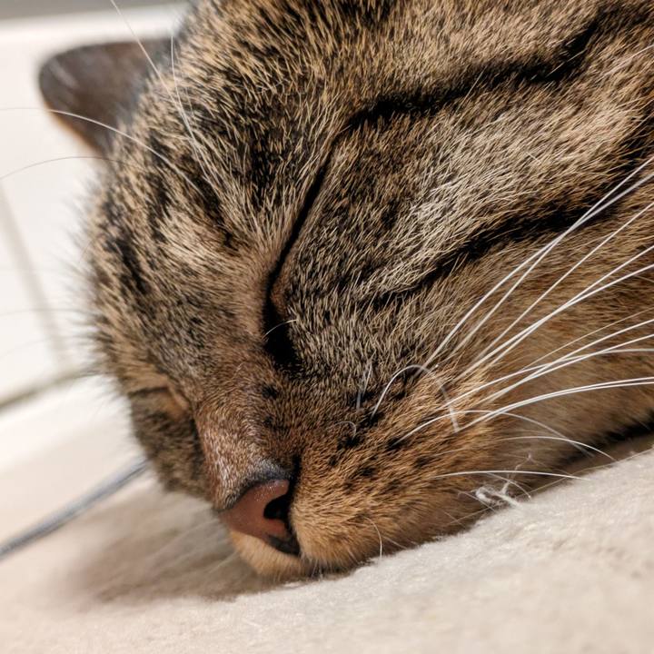 352b147c 242e 47f3 a391 9f40cbf0ed83 1694083656026