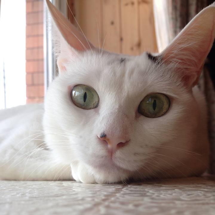 352b1b2b ff9f 4d98 801a 238b494a8f02 1509662883359