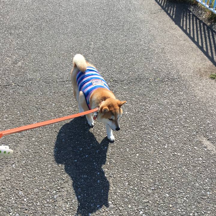 352b43d8 4c72 4cc0 9c23 30a39d7cd851 1557445138864