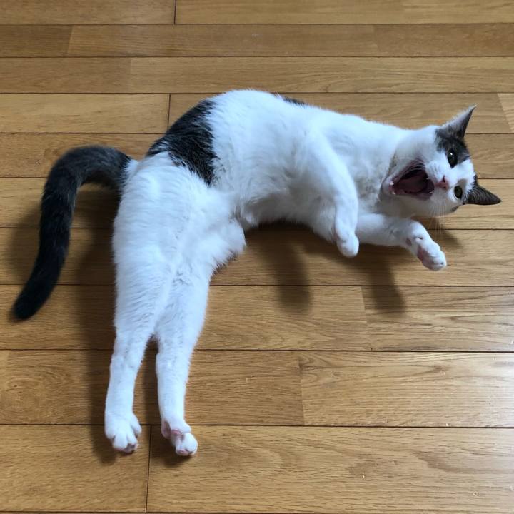 352b9406 77dd 4813 a028 73b385c9d06a 1687606442754