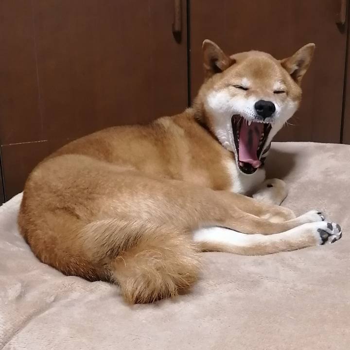 352bc923 cc8d 4592 b4e8 a42edb453477 1583589774558