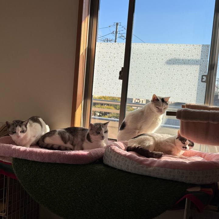 352bd1d4 297a 4bcc ac6d 4c4de81199ab 1768021972054