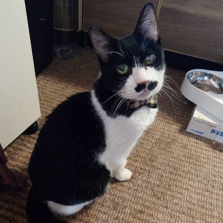 352be73d 3f7b 4543 9aff 73a3e9fdae7a 1758750214179