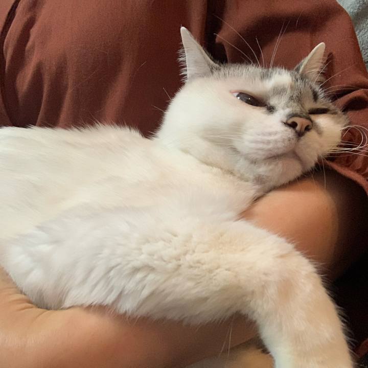 352bed3c 6b3e 43ac b88f be6f41d7b60b 1647335077940