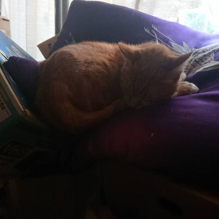 352c0769 18d2 48e1 a6b7 0eebbf159c0c 1596957078682