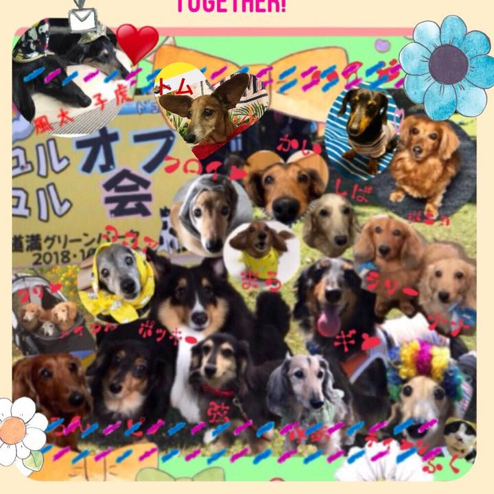 352d2990 7301 4dfe 806d 167e15cac596 1539001362000