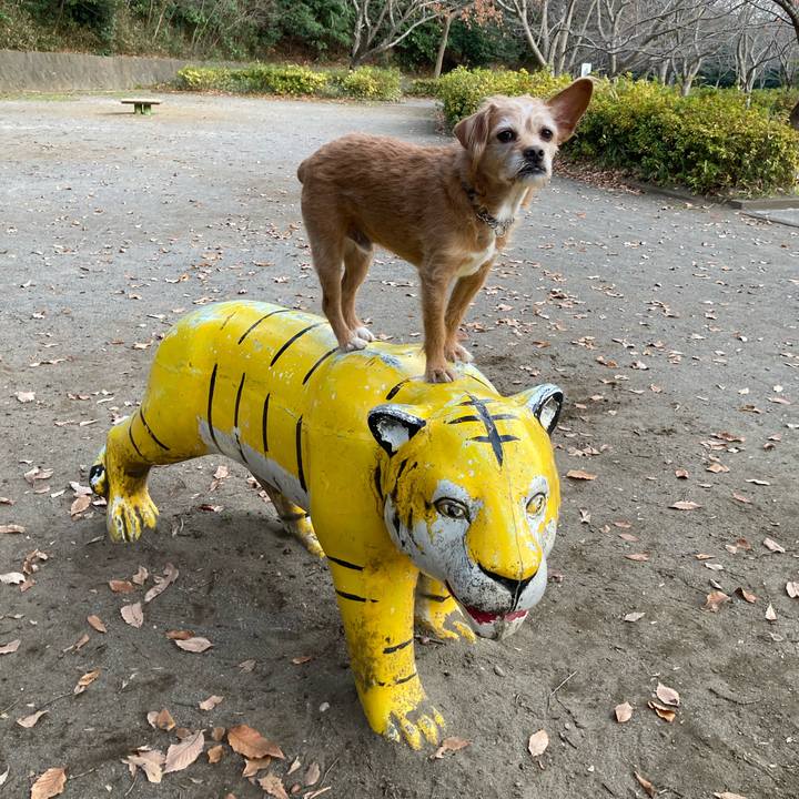 352d2b7b 22b8 4657 8567 833c9a01c203 1703063092258