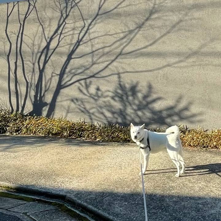 352d59d9 1b3f 4712 a55e f3ece7dd4584 1611115850886