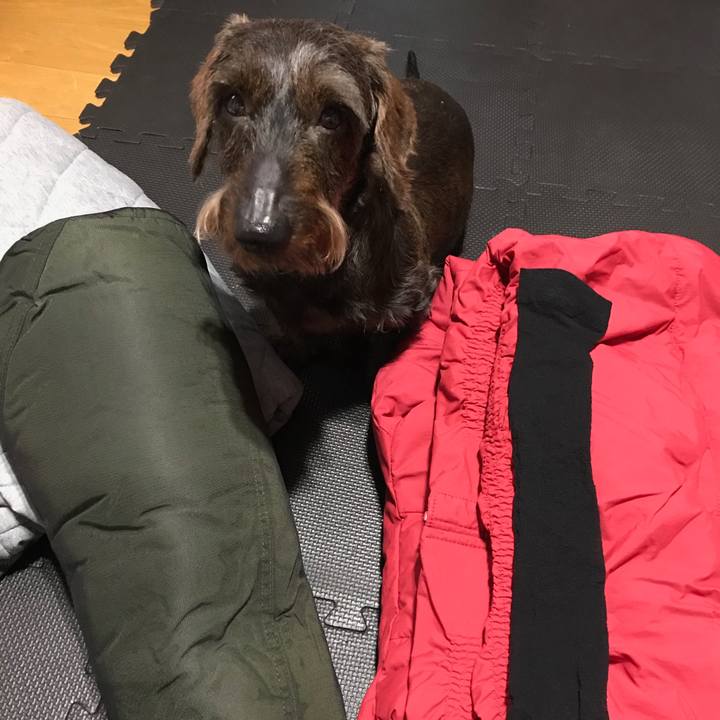 352d6acc 35cc 4ae6 9dde 17dd9ac69102 1528900911051