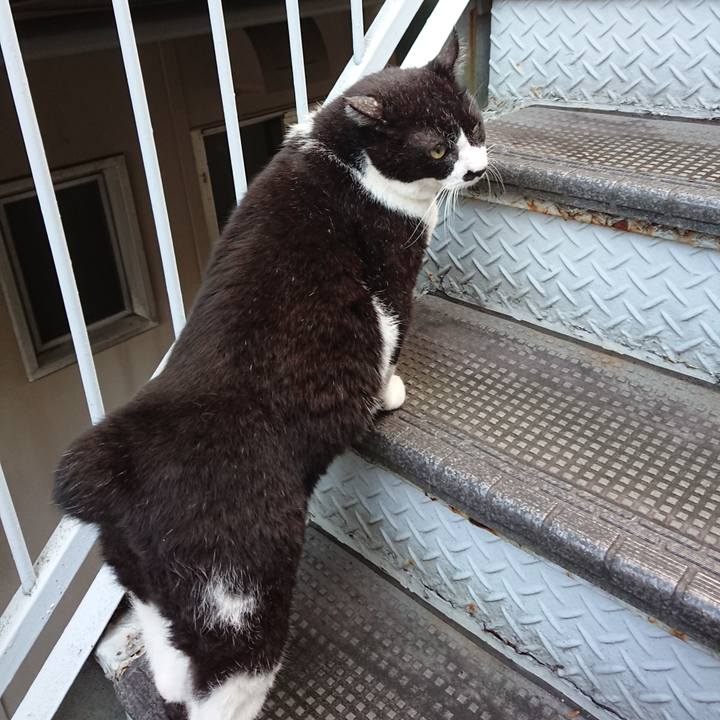 352da937 3e5b 4868 a23a 07bc93d14fef 1630829968034