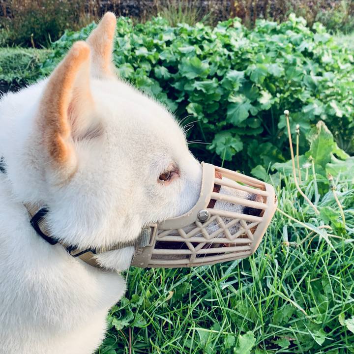 352db773 5ac3 4b13 a940 2b8d7f35dfbe 1570399544097