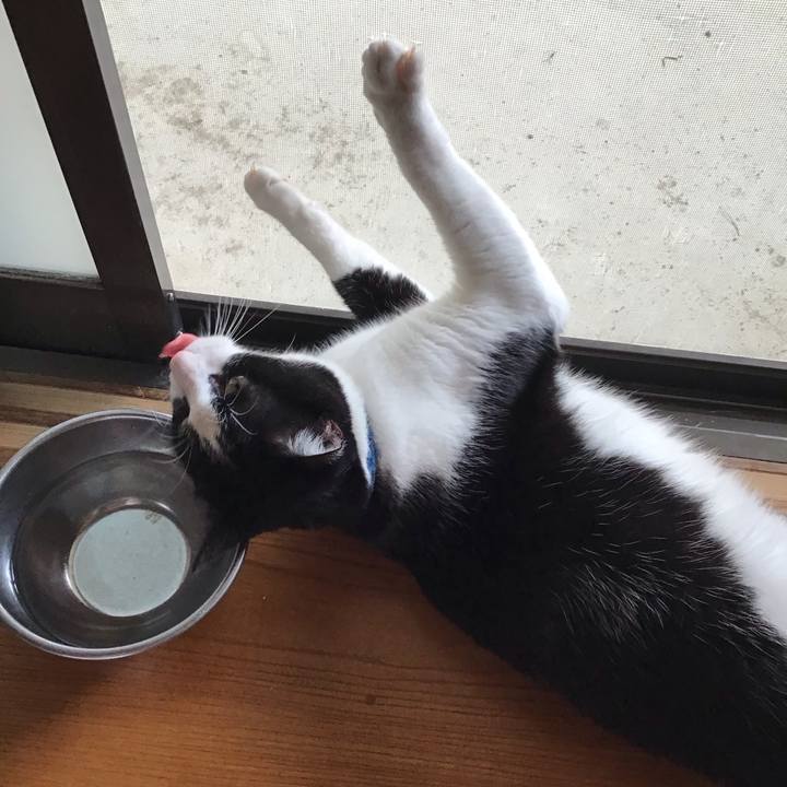 352df39a a550 4317 a78c fab06a1d034a 1692351611723