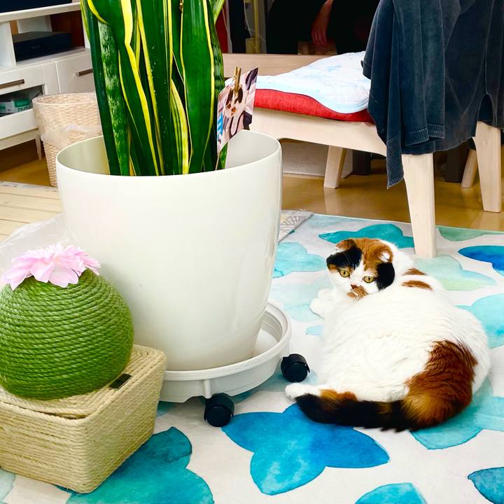 352df5fb 4134 4da2 984f 10f6d5020d98 1656369735566