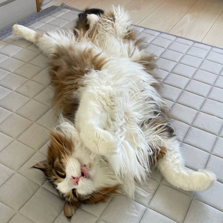 352df888 7d75 4911 87ef ed332264377a 1750983026952