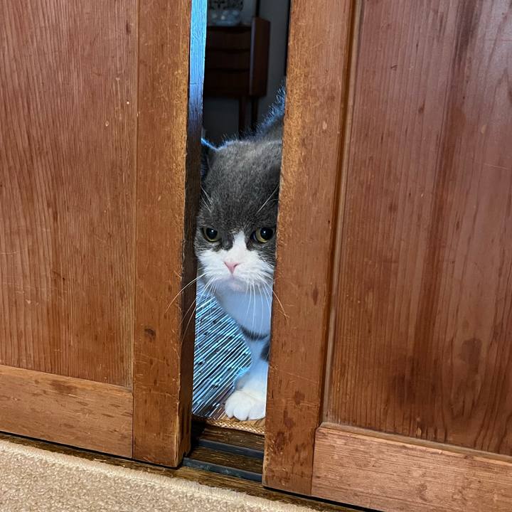 352e0acf 08a3 41ae 96ab 7c1068fae741 1733533663089