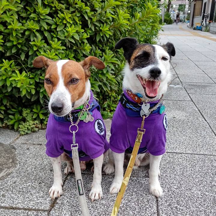 352e328a 9007 4c03 8f92 126d9a947893 1627595003695