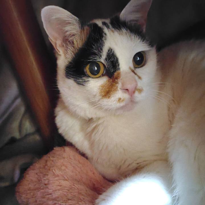 352e4be6 531d 4bb7 8b72 705bfb1d1c07 1743857221090