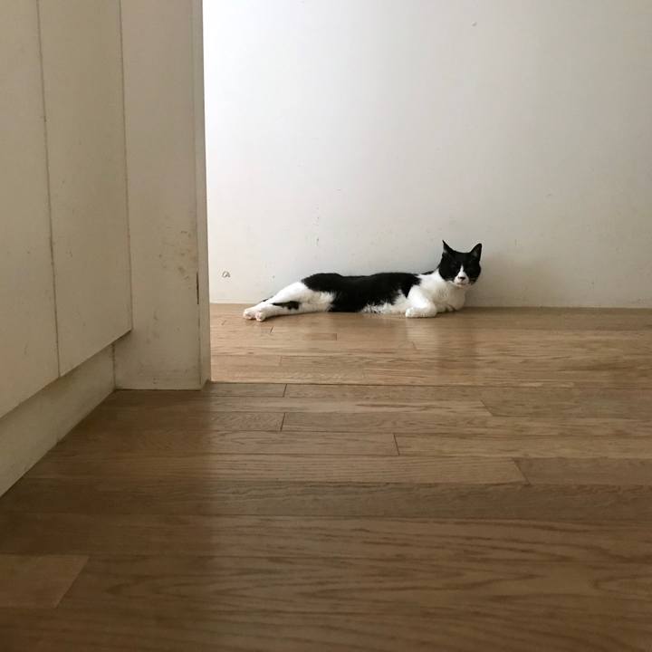 352e5436 2f90 48aa 98ab 8c23fdc2816f 1555978857618