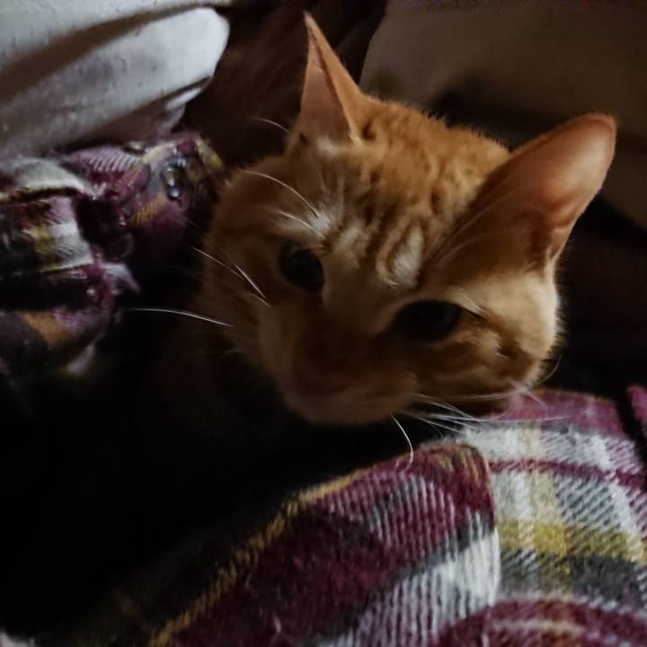 352ea66c 4d78 431b b8ba 8563c7b06fb9 1641848113367