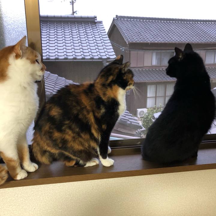 352edd52 53f8 415c be43 7ccca7e41107 1612523982619