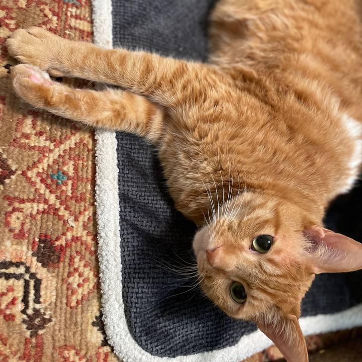 352ef3e7 8f44 4314 bfb9 14b98104f357 1738889305666