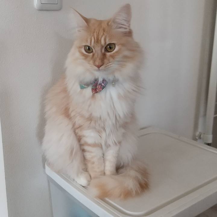 352f4136 3c9e 4205 afa5 55070cba92d6 1646443122770