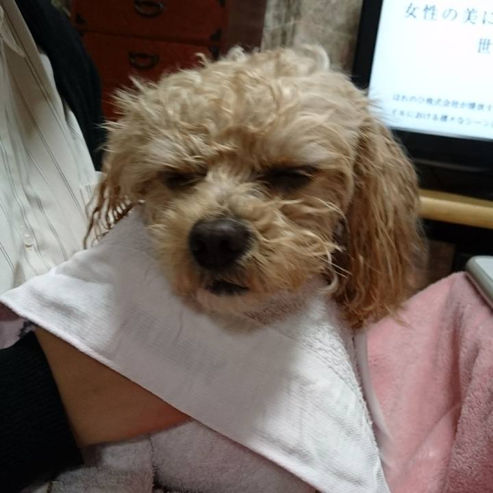 352f4f3a e000 4320 87cf 12fea88c89fa 1515413328976