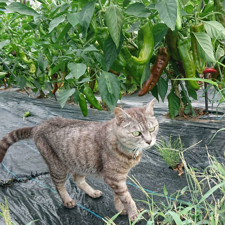 352f8cdd b09f 4a02 9879 a34e015cfbfa 1566080641054